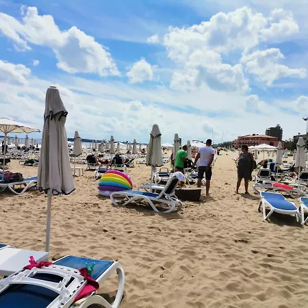 Family Amadeus Lux サニービーチ