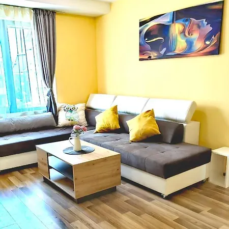 Family Amadeus Lux *